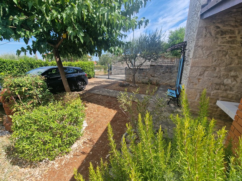 Garden with olive tree and parking space