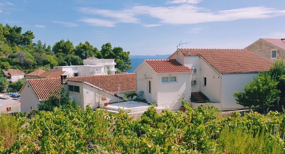 View from the vineyard to the house in Podobuce
