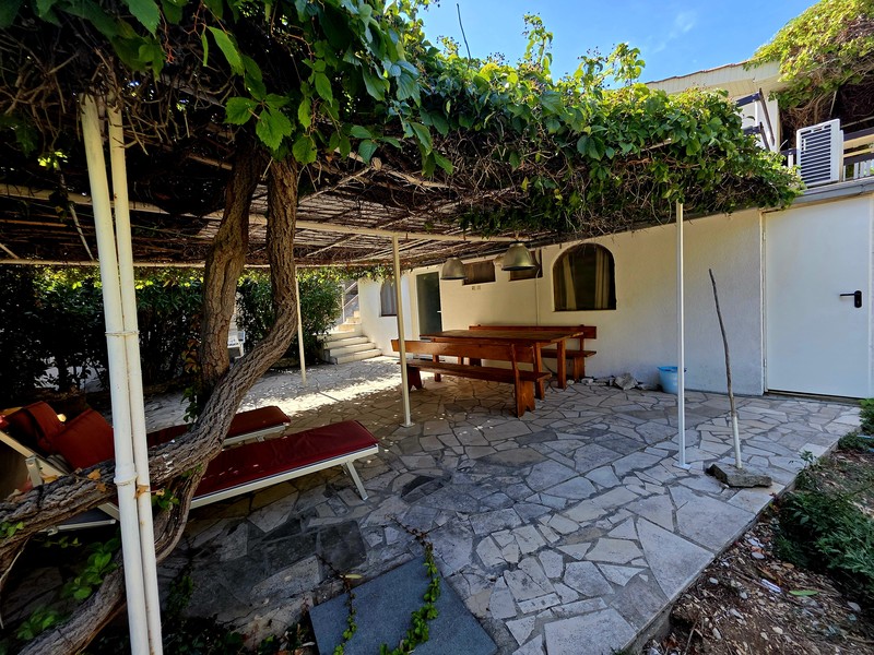 Terrace under the grape arbor with wooden table and benches