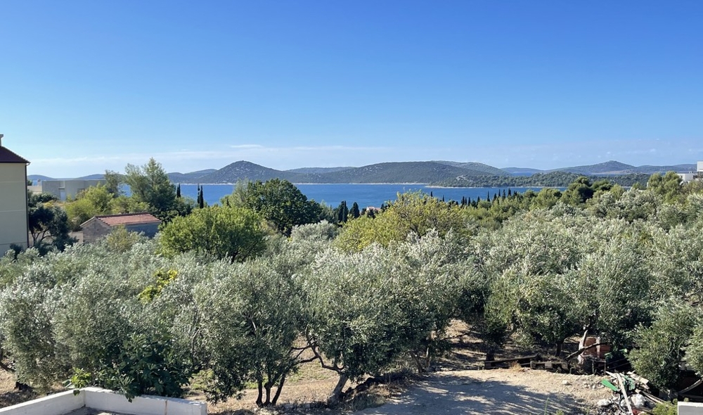 Sea view over olive groves to the Adriatic Sea in Vodice