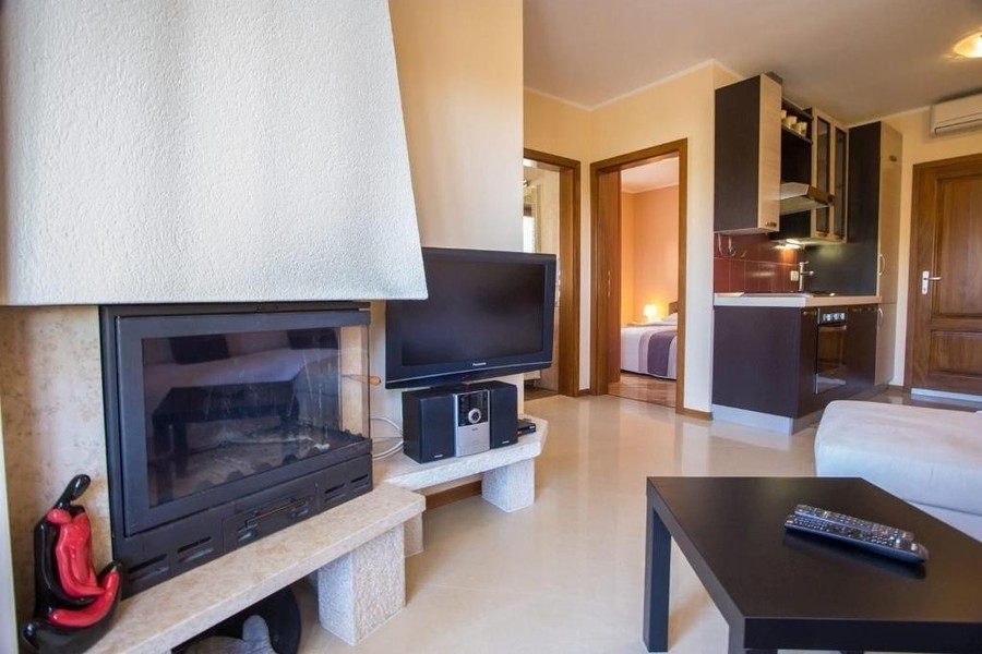 Living area with fireplace and kitchenette