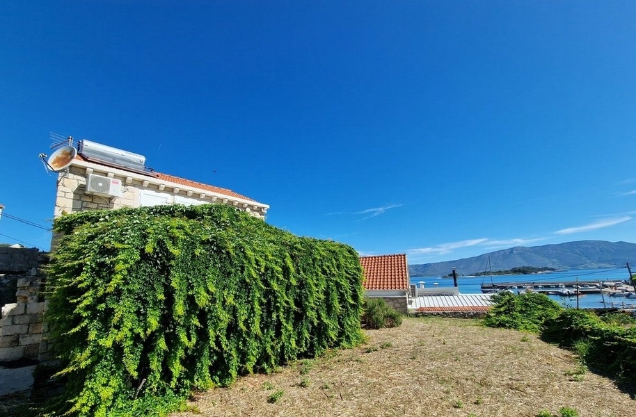 Garden overlooking the sea