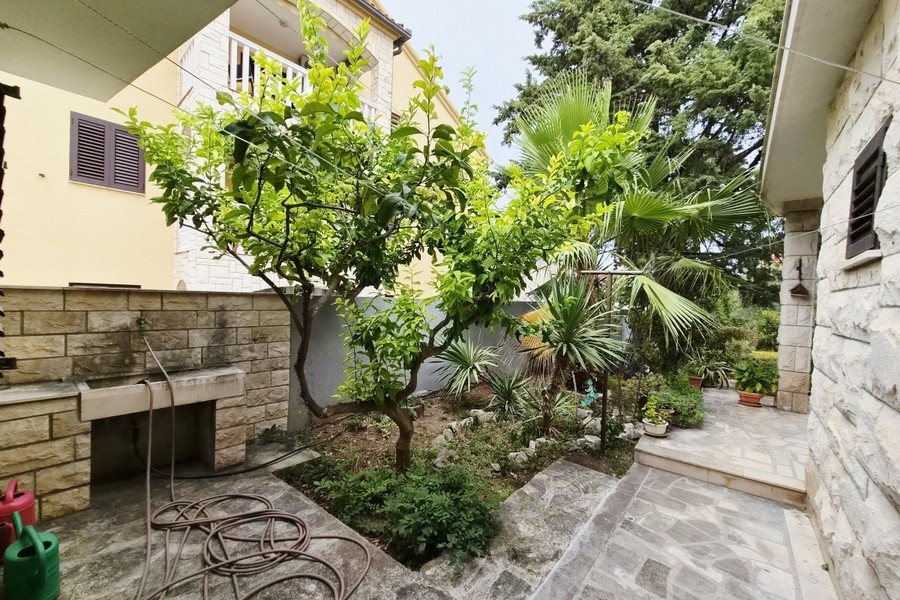 Courtyard with plants and barbecue