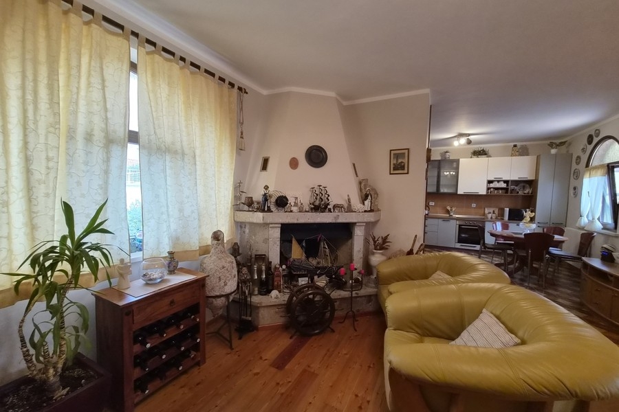 Living area with fireplace and kitchen