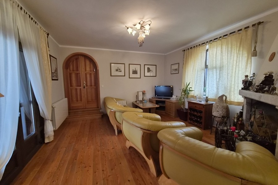 Living room with leather sofas