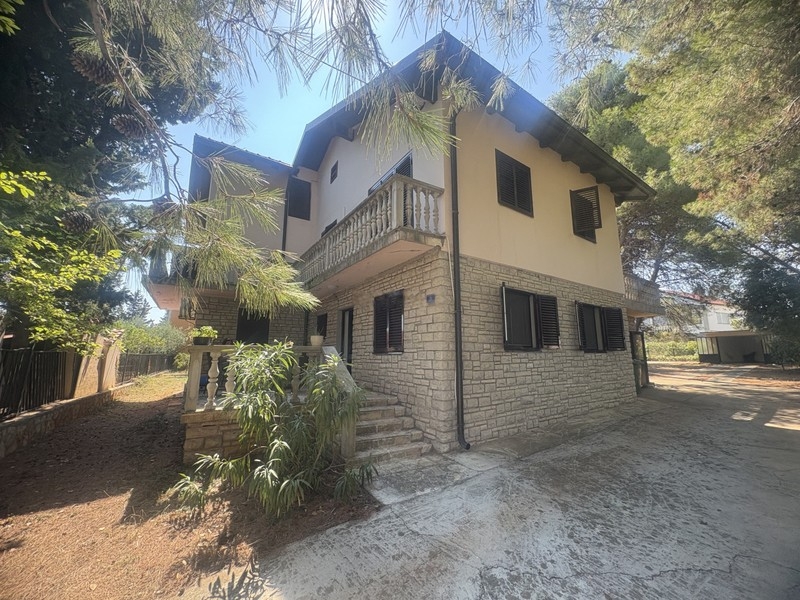 House with garden and sea view in Ugljan, Ugljan island