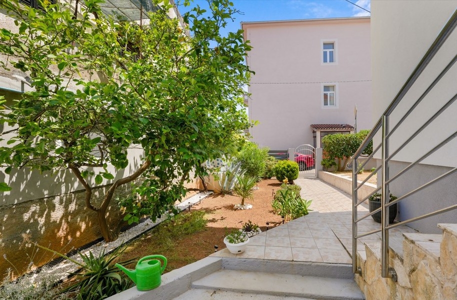 Garden with path and plants