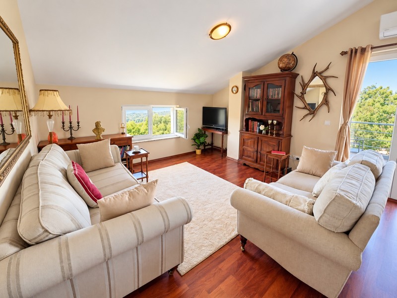Living room with sofas and wooden floor