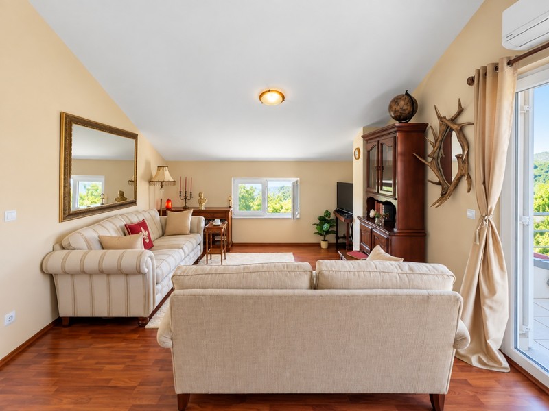 Bright living room with sofas and wooden floors