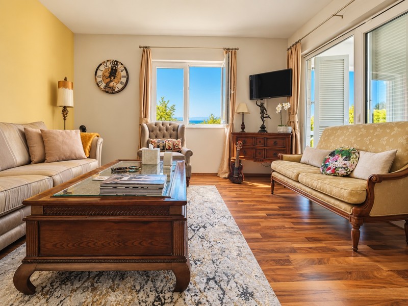 Living room with sofas and television