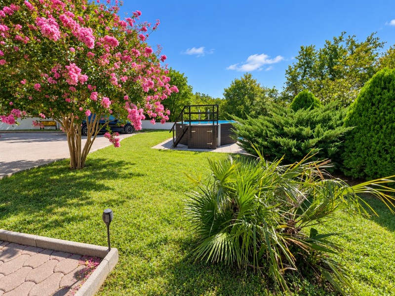 Lawn area with flowering tree, palm tree and above-ground pool