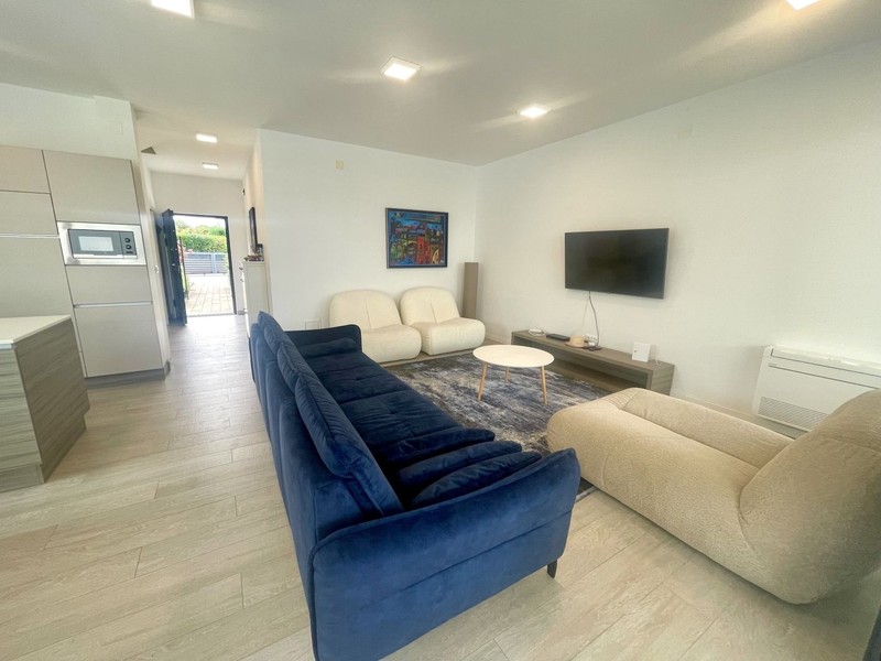 Living room with blue sofa