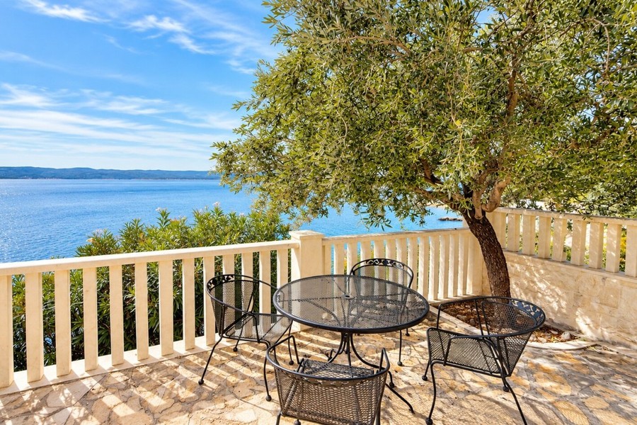 Terrace with olive tree and view of the sea