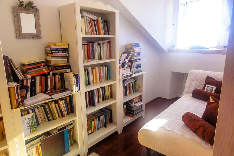 Library with bookshelves and lounger