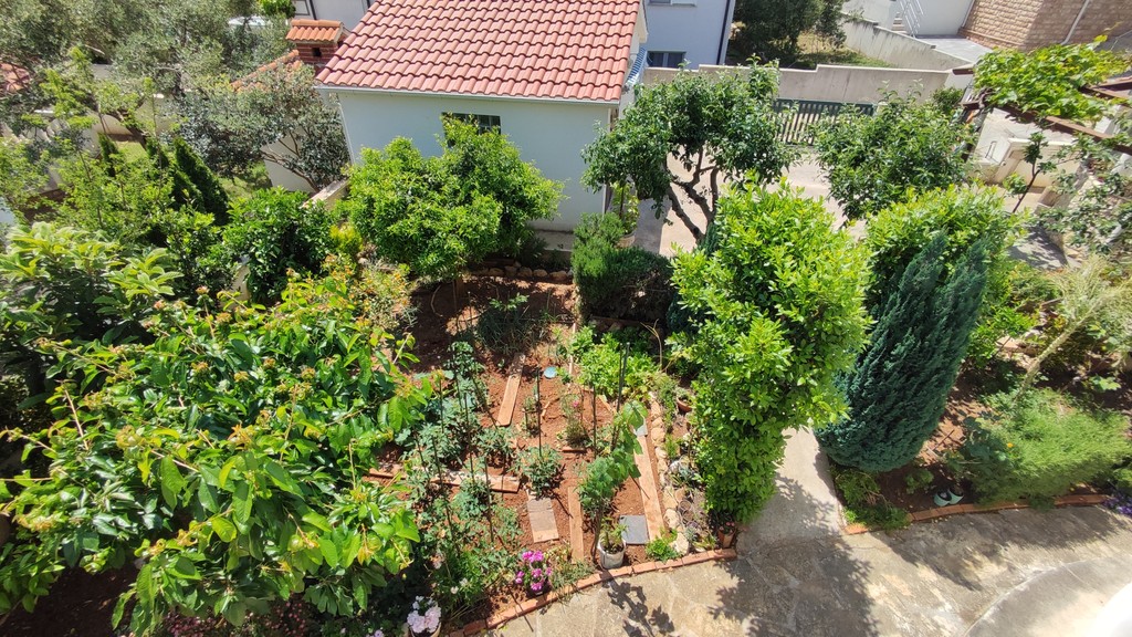 Garden with fruit trees and herbs