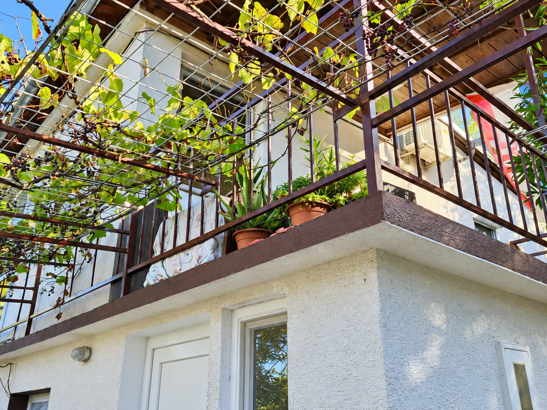 House with outdoor staircase and grapevine arbour