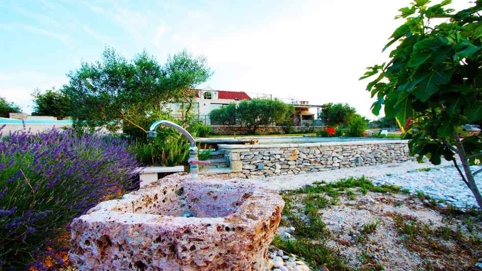 Villa with a large plot and swimming pool in Croatia on Brac Island for sale.