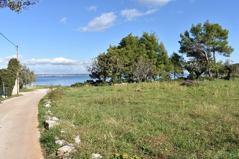 Meadow on the dirt road with pine trees and the sea behind