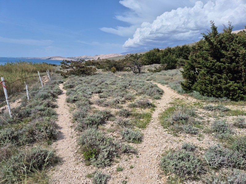 Buy land near the sea in Croatia.