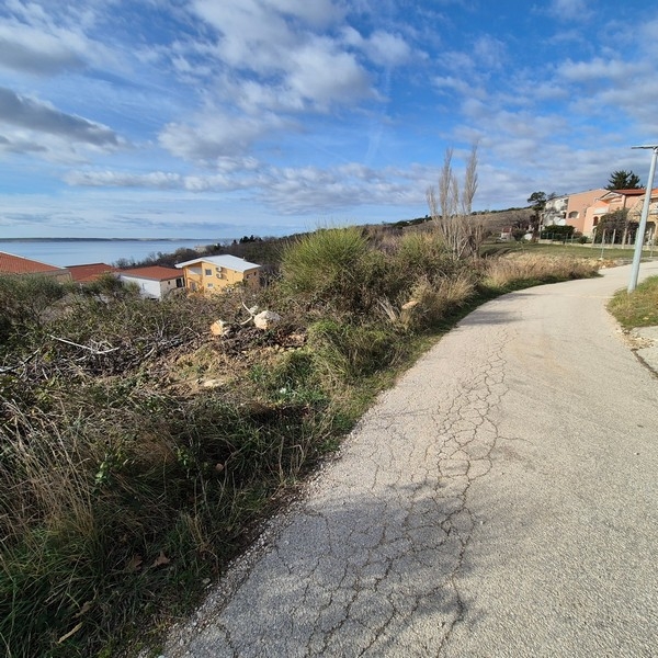Asphalted access road to the property G484.