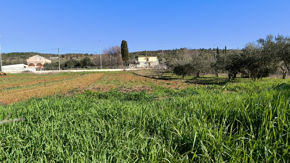 Land in Posedarje for sale.