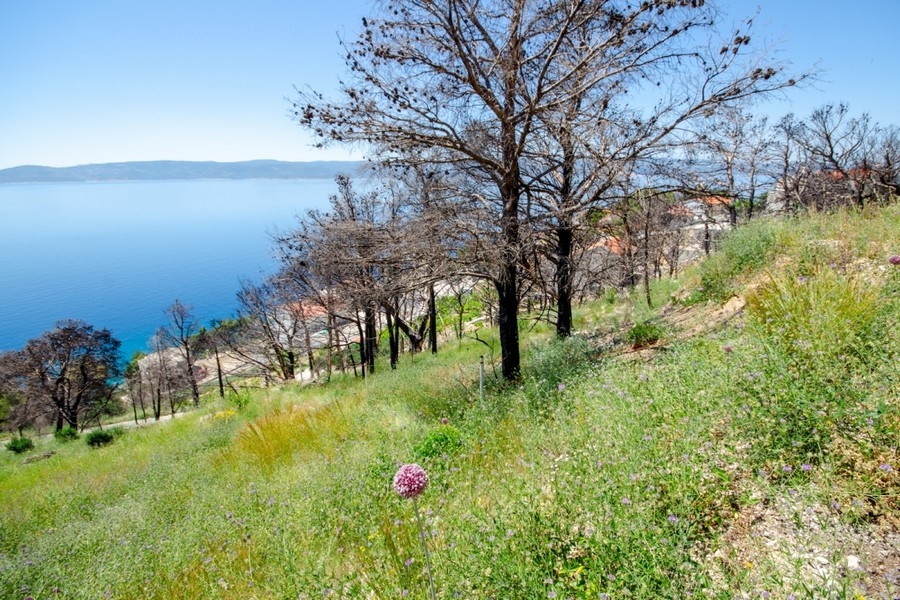 Building land with panoramic sea views Croatia