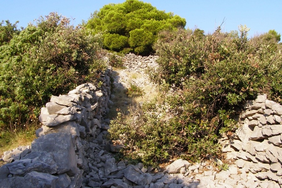 Natural location with sea views near Rogoznica